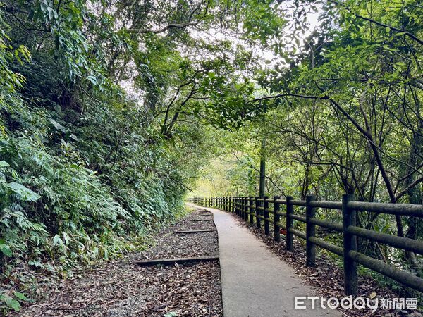 ▲烏來信賢步道,昇龍瀑布,烏來旅遊。（圖／記者彭懷玉攝）