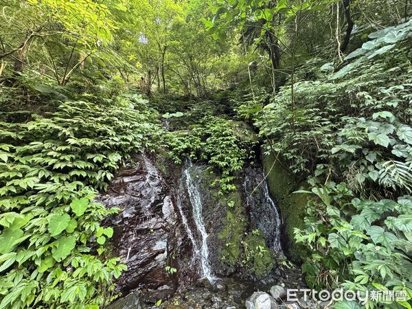 ▲烏來信賢步道,昇龍瀑布,烏來旅遊。（圖／記者彭懷玉攝）