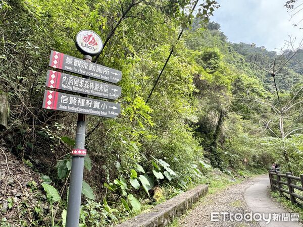 ▲烏來信賢步道,昇龍瀑布,烏來旅遊。（圖／記者彭懷玉攝）