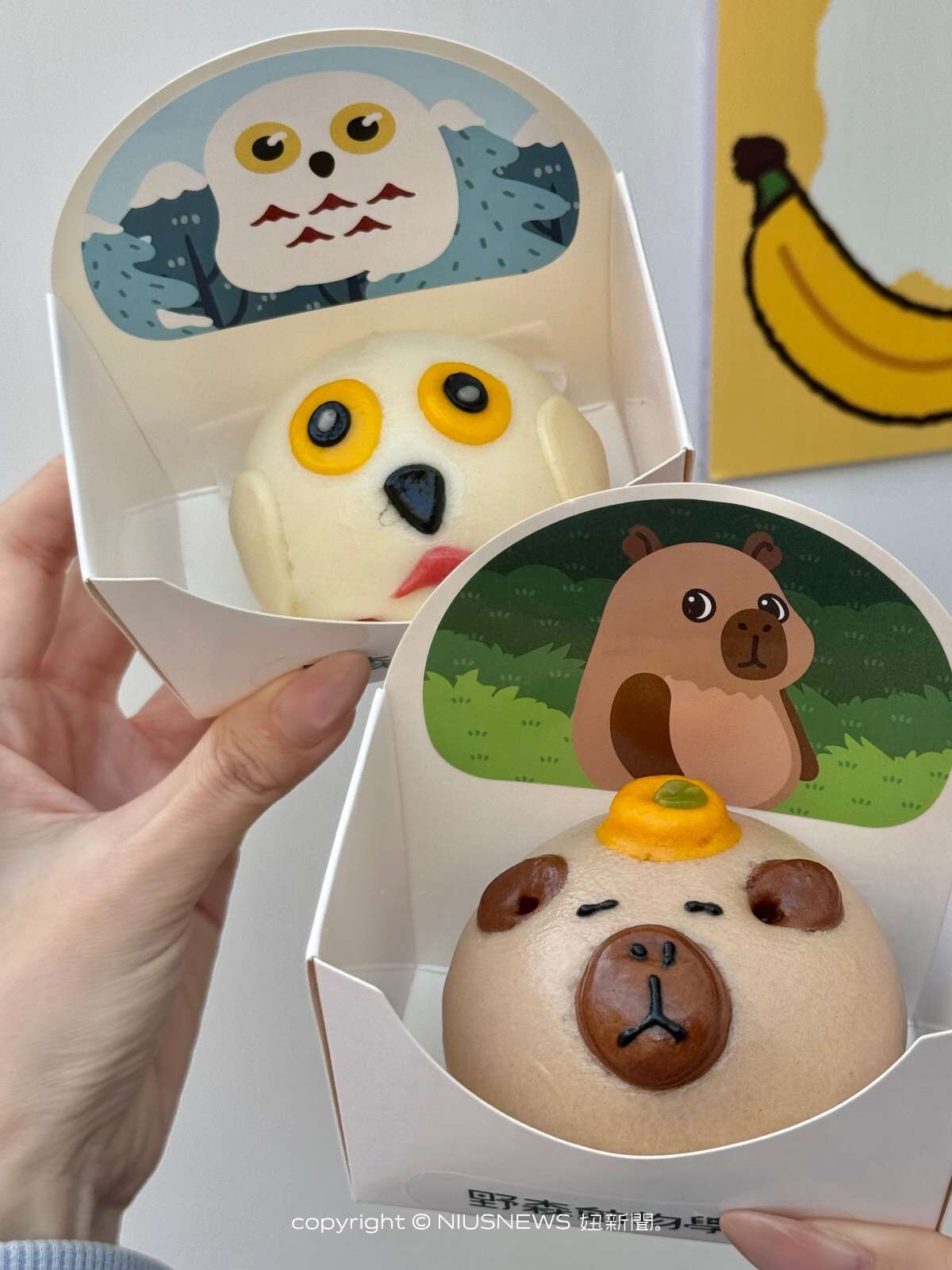  2026高雄最新打卡點！「野森動物學校」8大亮點＋預約方式及票價，全台唯一狐狸谷近距離互動、餵食迷你土撥鼠 