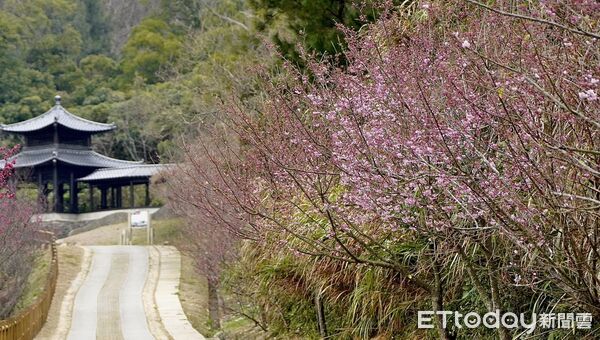 ▲▼賞櫻熱點。（圖／觀光署提供）