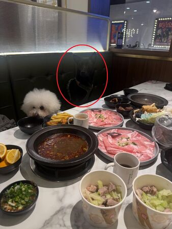 ▲。（圖／Threads@qbii_qbii提供，請勿隨意翻拍，以免侵權。）