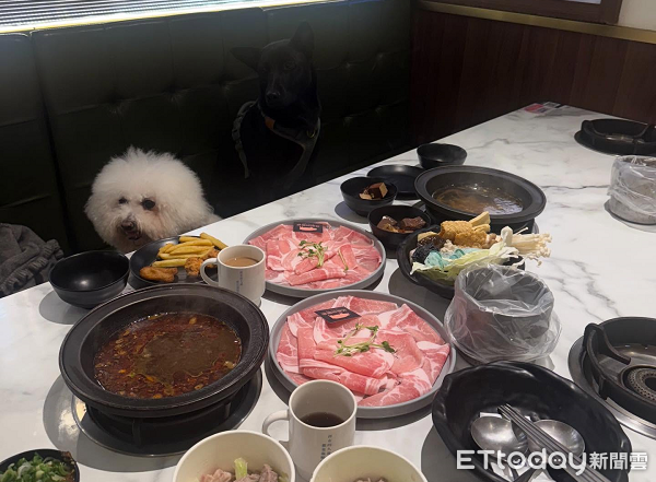 ▲。（圖／Threads@qbii_qbii提供，請勿隨意翻拍，以免侵權。）