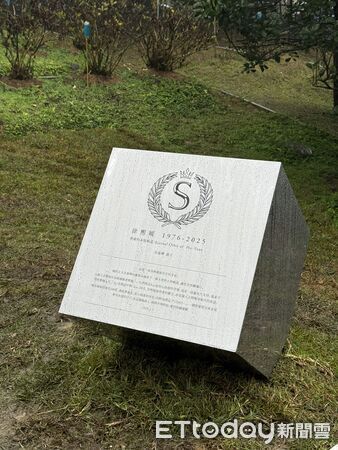 ▲▼大S。（圖／記者孟育民、徐文彬攝）