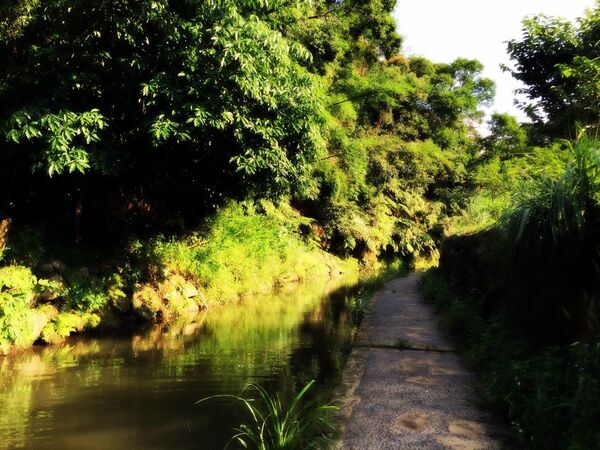 ▲北市3大山間親水系景點。（圖／大地處提供）