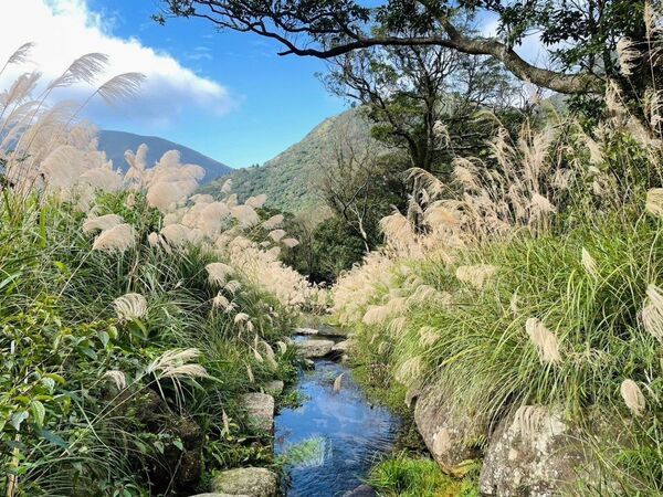 ▲北市3大山間親水系景點。（圖／大地處提供）
