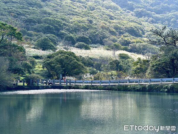 ▲大屯自然公園,陽明山景點。（圖／記者彭懷玉攝）