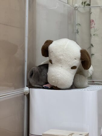 ▲。（圖／翻攝自X／@ChuchuJ1230）