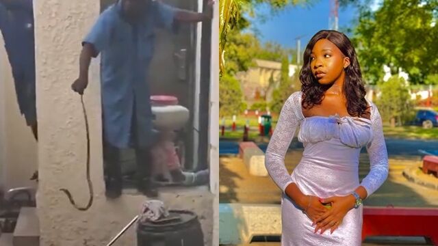 26歲女歌手毒發猝逝!家中熟睡「竟被蛇咬」 友人驚曝:抓到2條