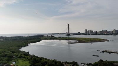 響應世界濕地日走訪挖子尾　觀察濕地秘境冬季脈動