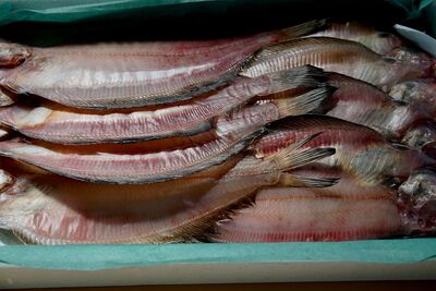 中國抵制沒效！日本食品出口飆破1.7兆日圓　綠茶、扇貝大賣創紀錄