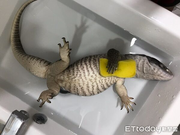 ▲。（圖／Threads@kimi_chen.0226提供，請勿隨意翻拍，以免侵權）