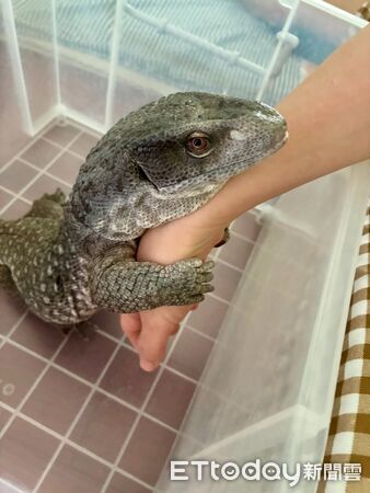 ▲。（圖／Threads@kimi_chen.0226提供，請勿隨意翻拍，以免侵權）