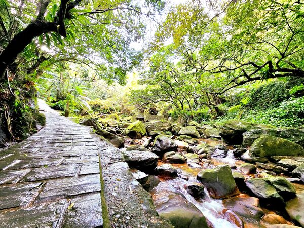 ▲內湖碧山巖,圓覺寺步道。（圖／大地處提供）