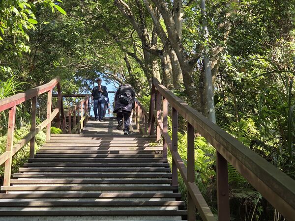 ▲福州山公園。（圖／大地處提供）