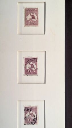 ▲▼墨爾本博物館。（圖／部落客travel with leo授權提供）