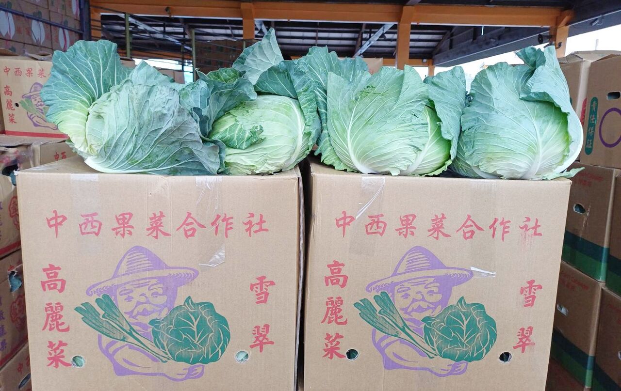 桃園年貨大街桃園、中壢2地消費3重送 不限金額送高麗菜