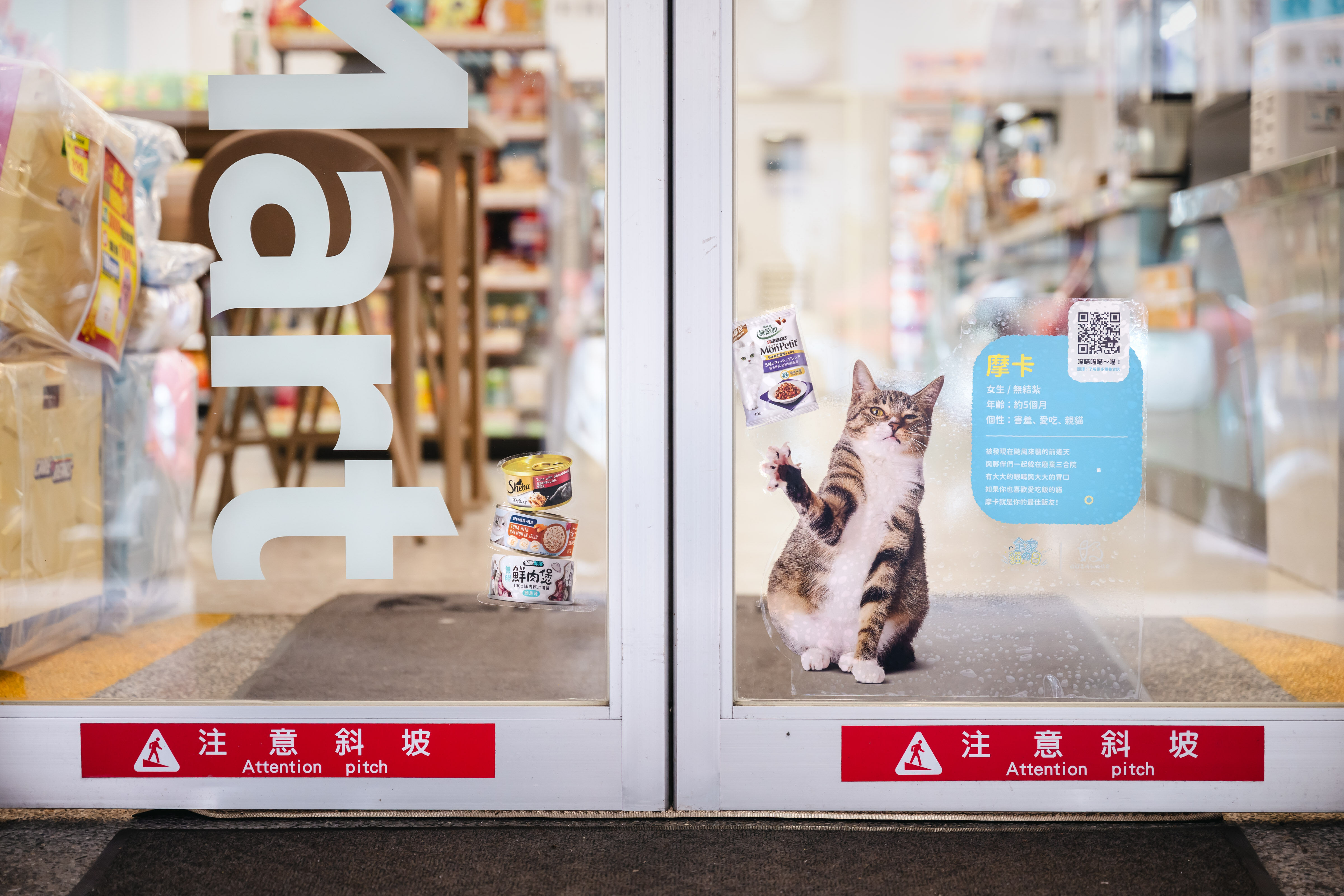 ▲▼全家「貓之日」推出貓咪烘焙、毛茸茸貓咪主題店。（圖／業者提供）
