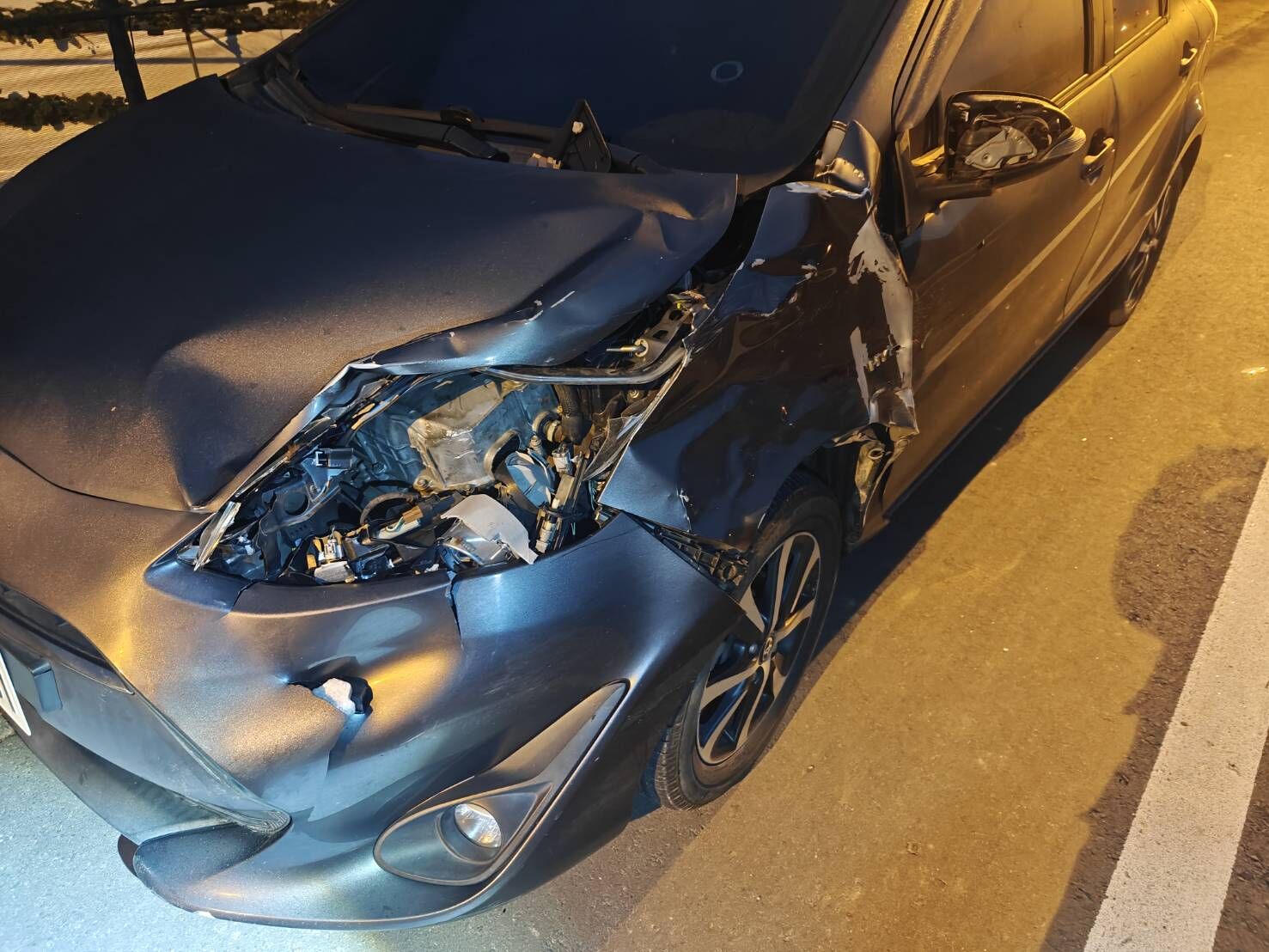 ▲「放養牛」逛大街釀車禍　竹縣無農藥草莓園遭闖入狂吃長達1年。（圖／劉耀駿提供，請勿隨意翻拍，以免侵權。）