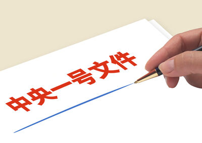 中共中央2026年一號文件公佈　點名支持「新能源車」進農村