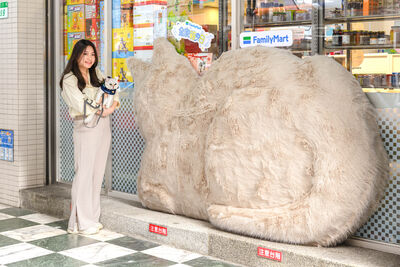 全家打造「巨型毛茸茸貓咪主題店」　貓咪烘焙3款新品登場