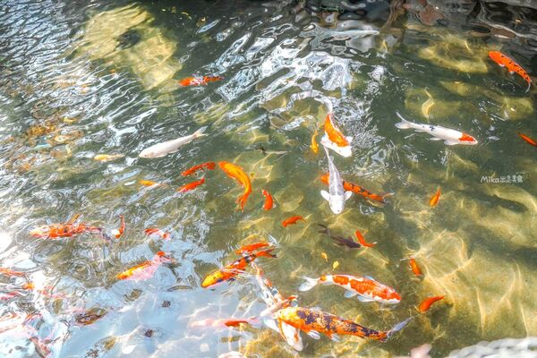 ▲▼大鼎庭園餐廳。（圖／部落客Mika授權提供）