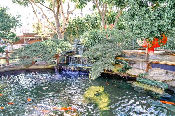 ▲▼大鼎庭園餐廳。（圖／部落客Mika授權提供）