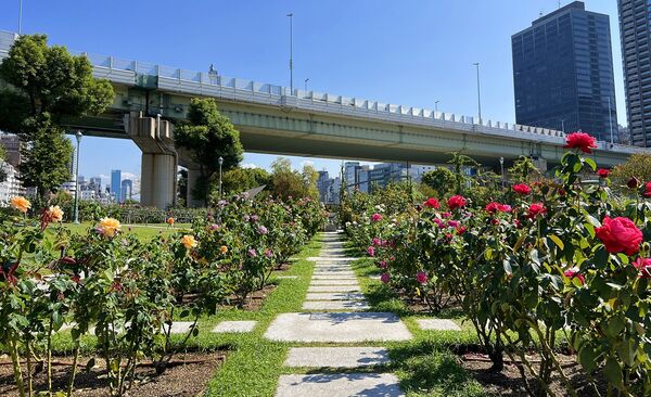 ▲▼大阪梅田。（圖／部落客CJ夫人授權提供）