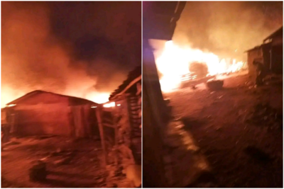 恐怖煉獄！奈及利亞大屠殺　170人遭「反綁跪地」集體處決