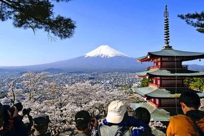 不敵觀光公害！　富士山「新倉山淺間公園」櫻花祭取消