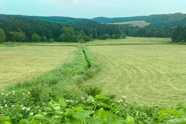 ▲▼宗谷號特快車。（圖／部落客飛天璇的口袋授權提供）