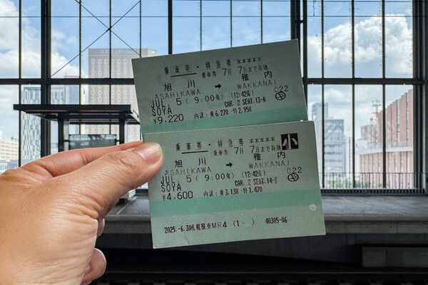 ▲▼宗谷號特快車。（圖／部落客飛天璇的口袋授權提供）