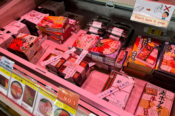 ▲▼宗谷號特快車。（圖／部落客飛天璇的口袋授權提供）