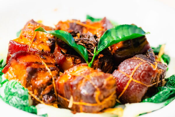 （過年留稿使用）▲▼外交部「山海珍饈迎瑞馬 團圓吉饗納新春 」，由農業青年大使葉佳欣準備的「茶韻東坡富貴肉」茶香東坡肉，為本次外交部長林佳龍和日本台灣交流協會代表片山和之的最愛。（圖／外交部提供）