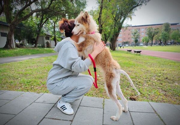 ▲桃園打造「動物友善城市」