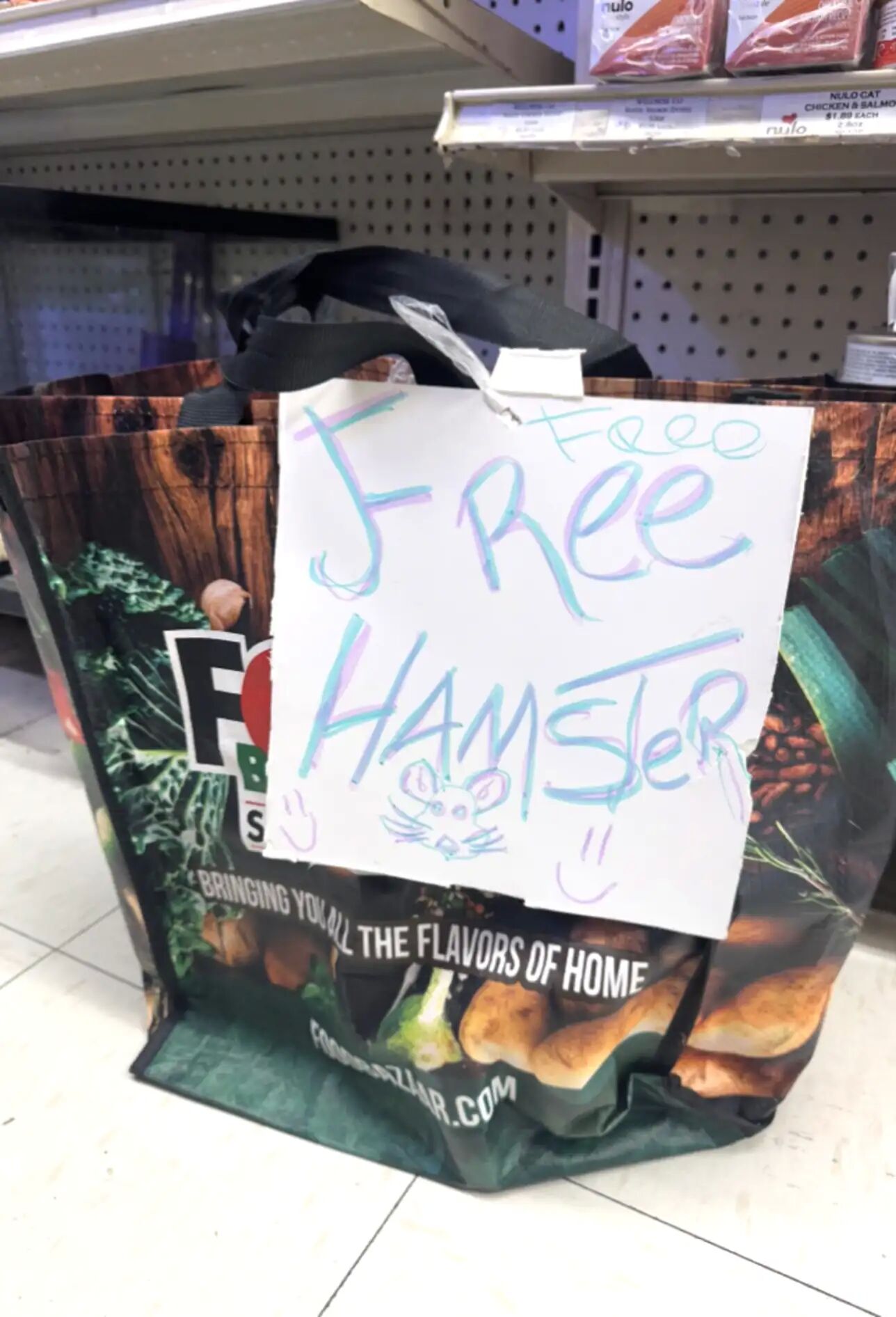 ▲紐約「免費倉鼠」自由領養　數十隻鼠寶被丟公園寒冬中自生自滅。（圖／翻攝自The dodo、Sean Casey Animal Rescue）