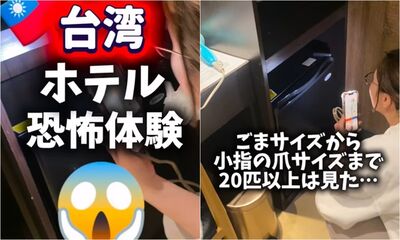 1晚要台幣2300元！日本妹住台北飯店「20+蟑螂到處爬」嚇爆