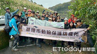 隱形殺手藏深山！基隆動保所深度淨山　強勢拆除非法鳥網