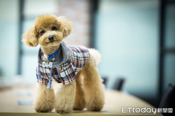 ▲。（示意圖／記者徐文彬攝）