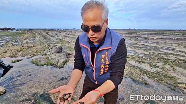 ▲新北馬岡潮間帶生態疑遭毒害 里長怒斥生態殺手。（圖／記者郭世賢翻攝）