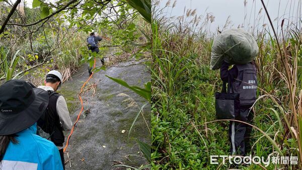 ▲基隆啟動深度淨山拆鳥網行動。（圖／記者郭世賢翻攝）
