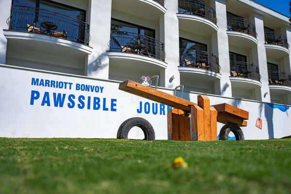 ▲桃園大溪笠復威斯汀度假酒店打造北部飯店首座狗狗專屬戶外空間「威斯汀毛孩樂園」。（圖／業者提供）