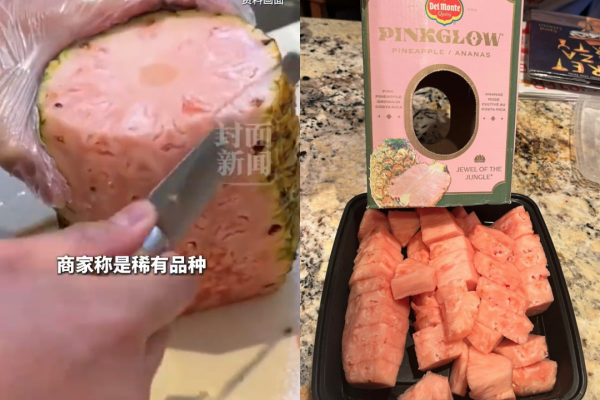 ▲▼「粉色鳳梨」在陸爆紅。（圖／翻攝自微博）