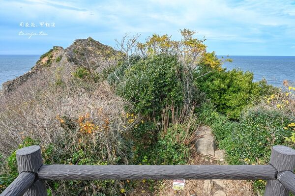 ▲▼糸島龍貓森林步道。（圖／部落客周花花授權提供）