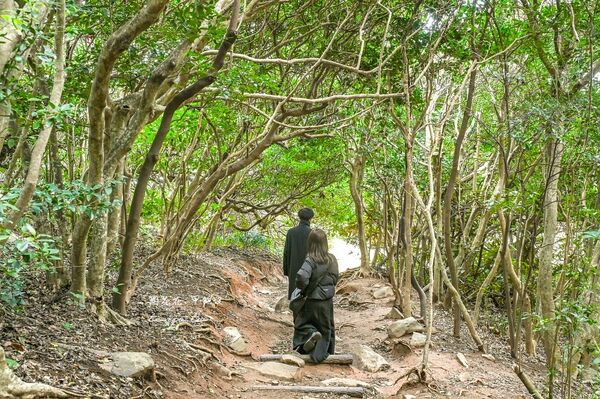 ▲▼糸島龍貓森林步道。（圖／部落客周花花授權提供）