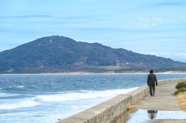 ▲▼糸島龍貓森林步道。（圖／部落客周花花授權提供）