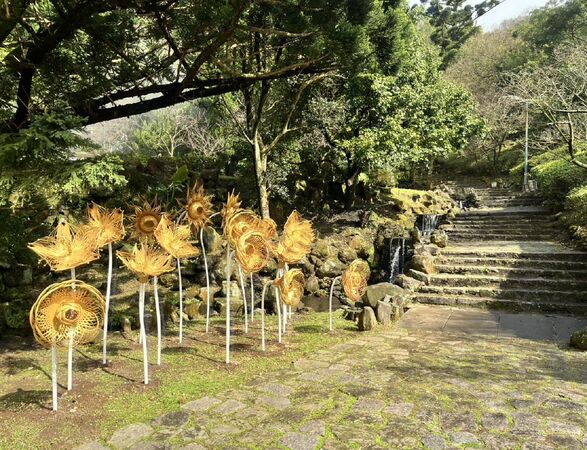 ▲陽明山花季新裝置、花開位置和周邊商家優惠。（圖／翻攝自陽明山花季官網）