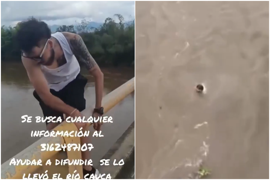 ▲▼             。（圖／翻攝自X）