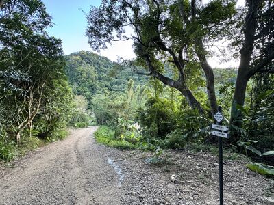 北橫賞櫻！桃園走春一日遊推薦　秘境步道、騎鐵馬訪永安漁港