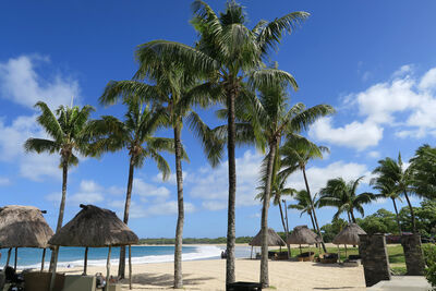 蜜月勝地愛滋危機！斐濟病例暴增50%　互打「毒友血液」求快感